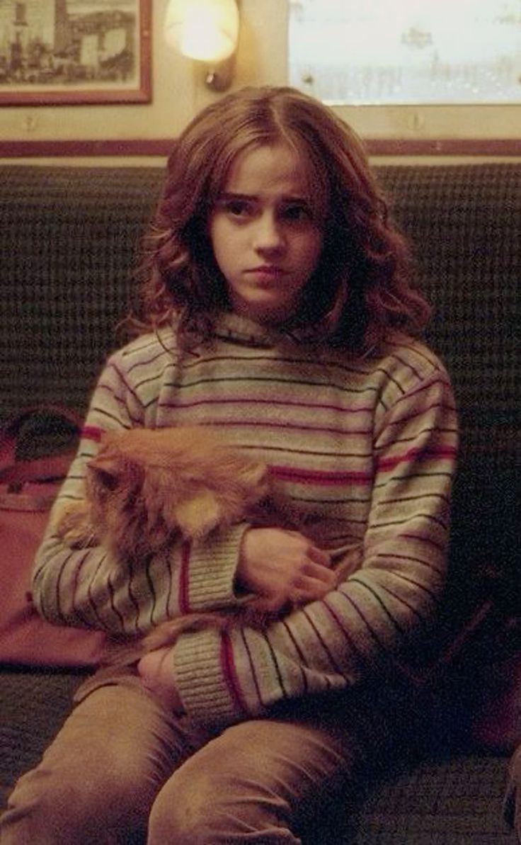 Hermione with Crookshanks in train to Hogwarts
